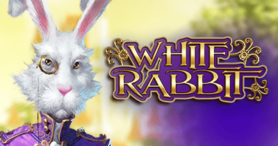 White Rabbit at Cybet Casino